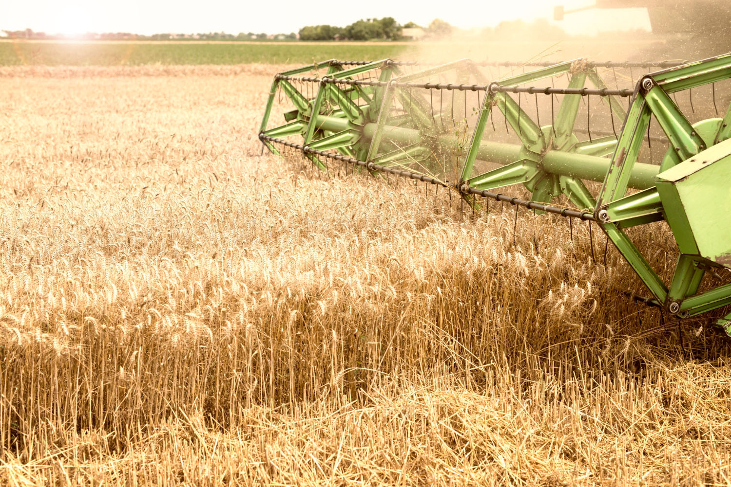 combine-harvester-working-wheat-field.jpg
